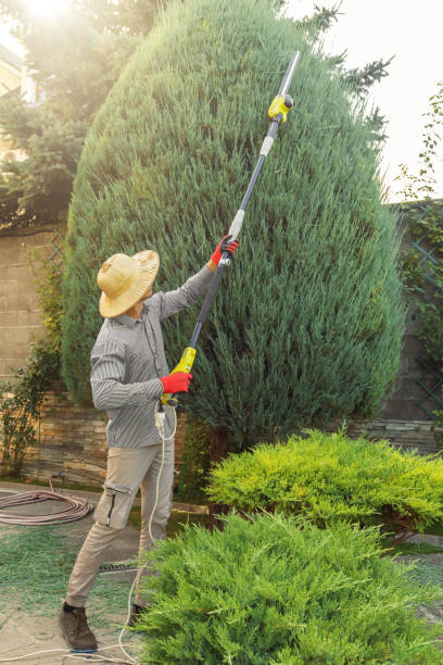 Best Lawn Watering Services  in Monroeville, PA